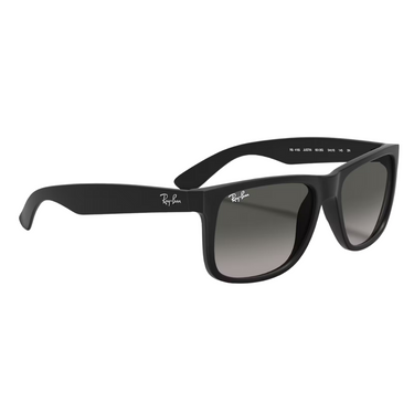 Ray-Ban 4202 Justin Mat Zwart