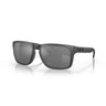 Oakley Holbrook XL Steel